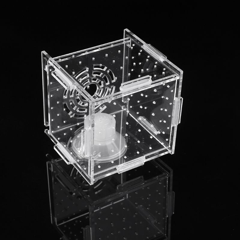 Aquarium Fish Breeding Isolation Box Baby Fish Incubator Hatch Fish Tank
