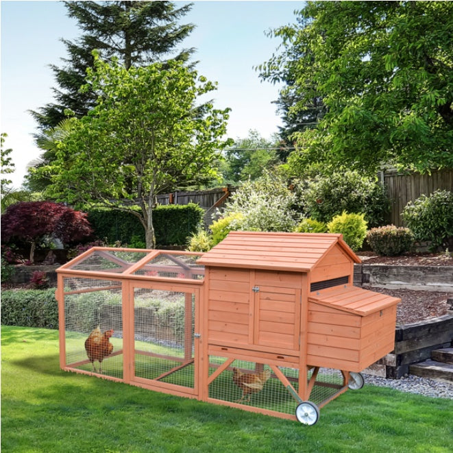 Chicken Coop