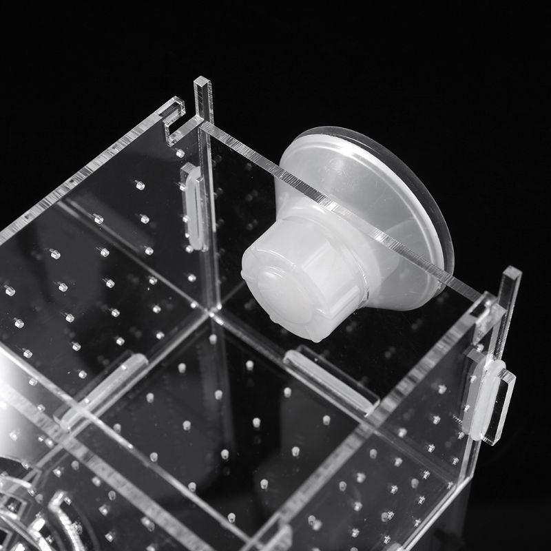 Aquarium Fish Breeding Isolation Box Baby Fish Incubator Hatch Fish Tank