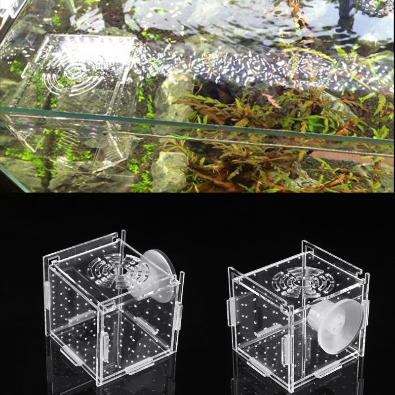 Aquarium Fish Breeding Isolation Box Baby Fish Incubator Hatch Fish Tank